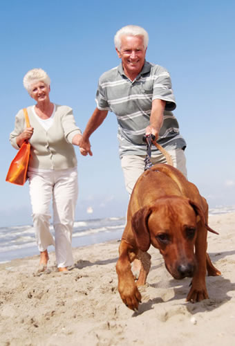 Photo of people and dog on beach