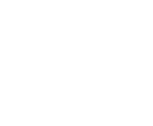 Big paw print
