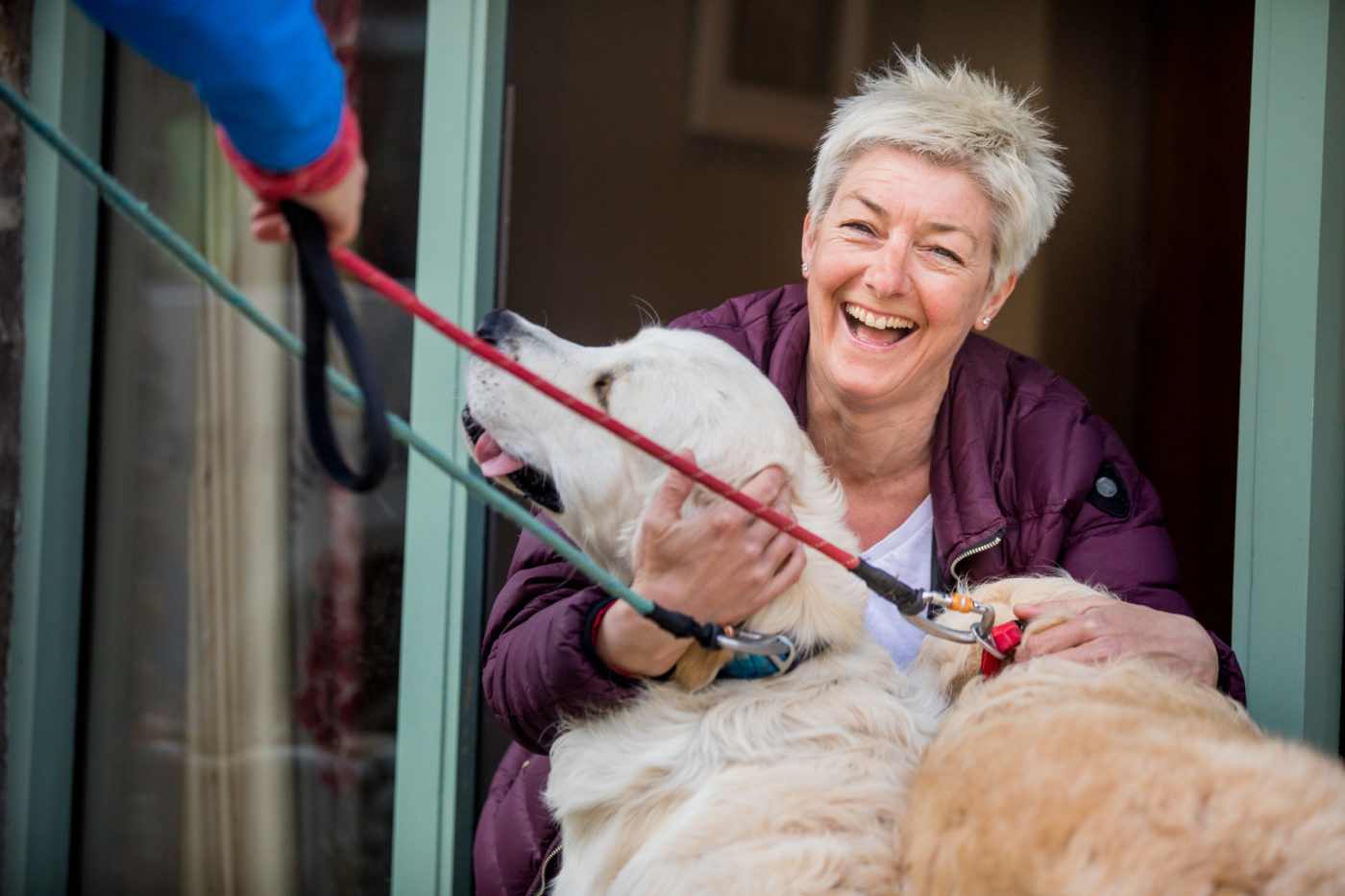 Dog Boarding: One of the Best Animal Care Jobs | Barking ...